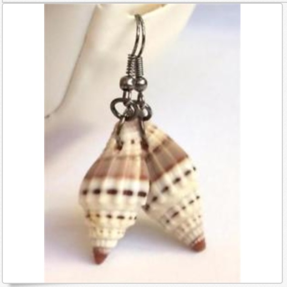 Conch Sea Life Shell Earrings Cerith Pierced Brown White Island Beach Natural - Picture 2 of 11
